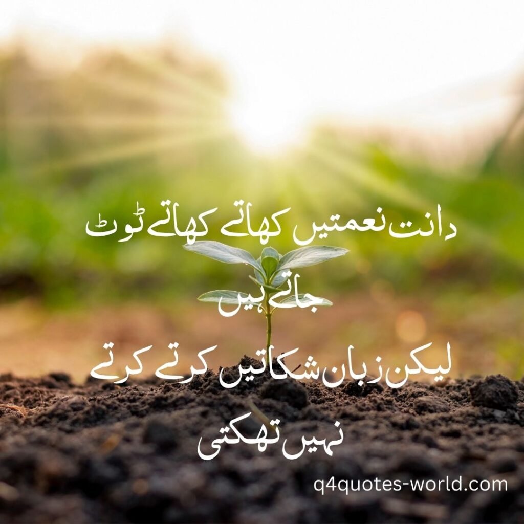 Tanha Shayari: Exploring the Depths of Solitude Through Poetry 3 Tanha Shayari: Exploring the Depths of Solitude Through Poetry